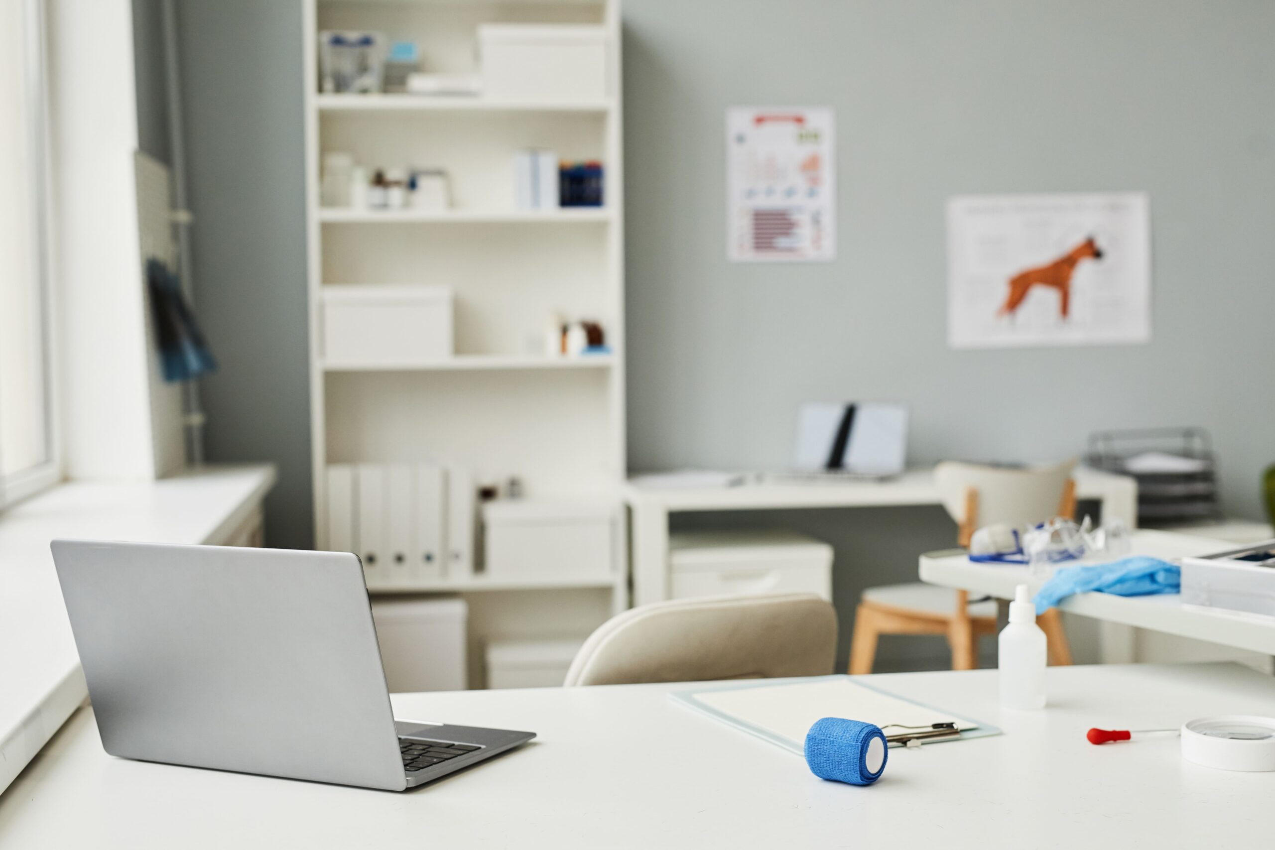 gabinet-fizjoterapii-osteopatii-pepek-swiata